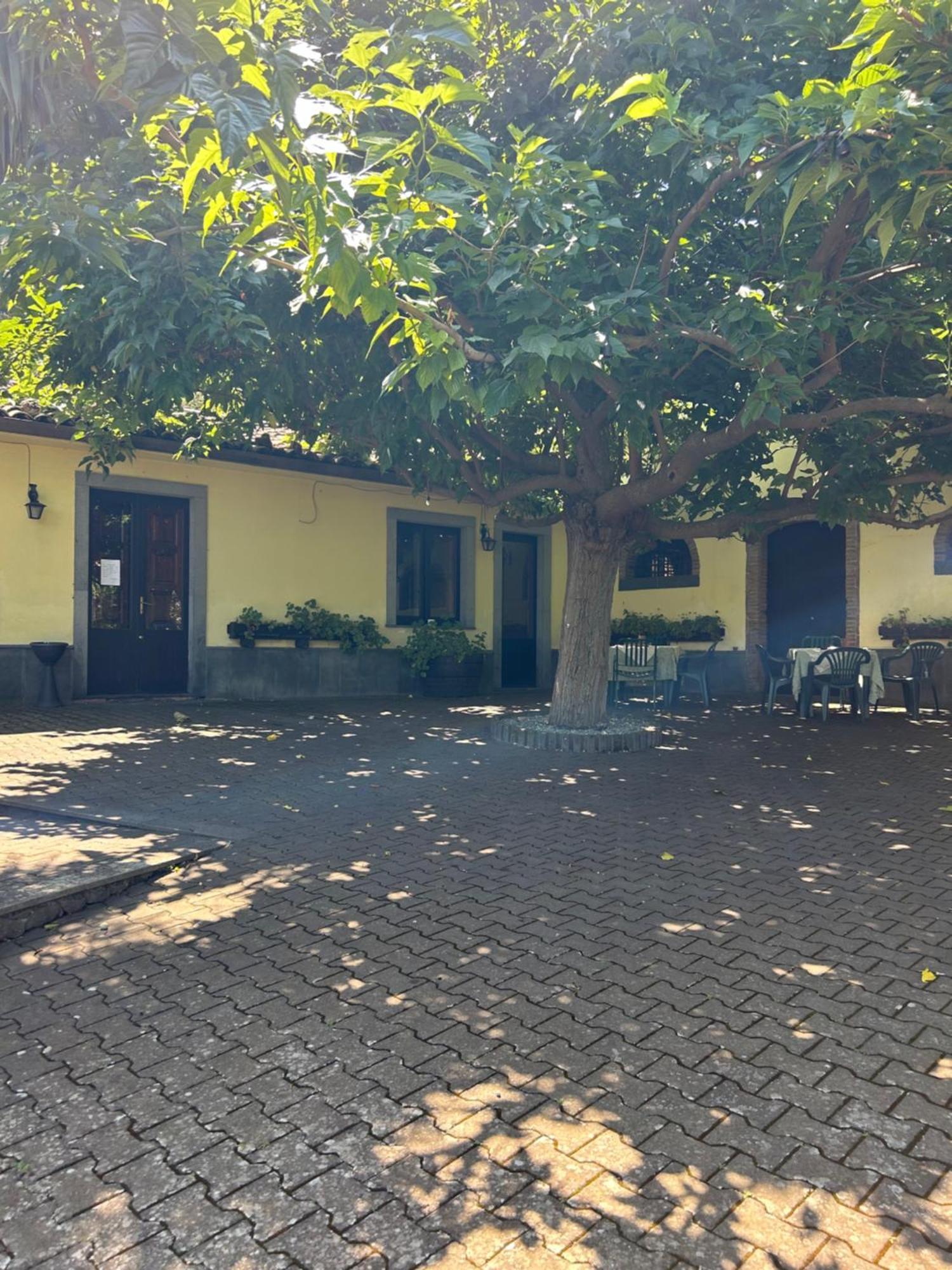 Villa L'Antica Vigna Randazzo Exterior foto